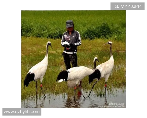 很赖的足球明星背后的真实故事与不为人知的奋斗历程 很赖的足球明星背后的真实故事与不为人知的奋斗历程