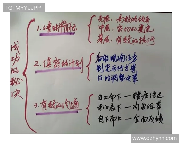 杨强专访揭秘排球成功背后的秘诀与团队精神 杨强专访揭秘排球成功背后的秘诀与团队精神